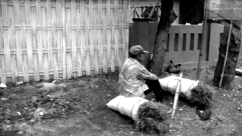 kakek tua dan rumput