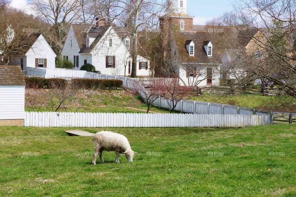 Spring in Williamsburg