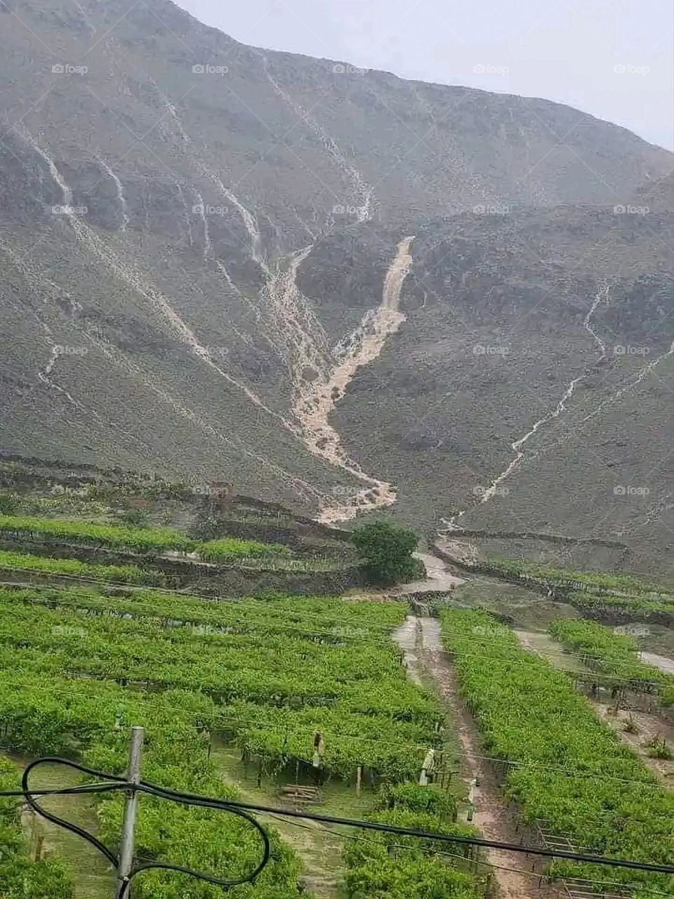 Glory be to God, the magnificent and picturesque view and the natural green trees are a view that is nothing more wonderful than it