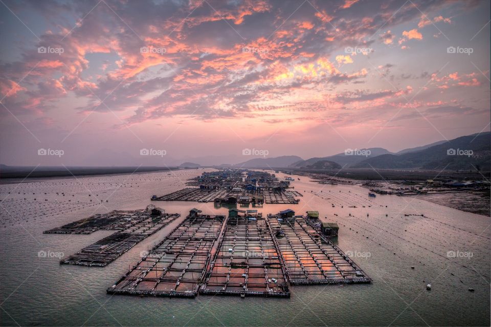 Pink sky over a prawn farm