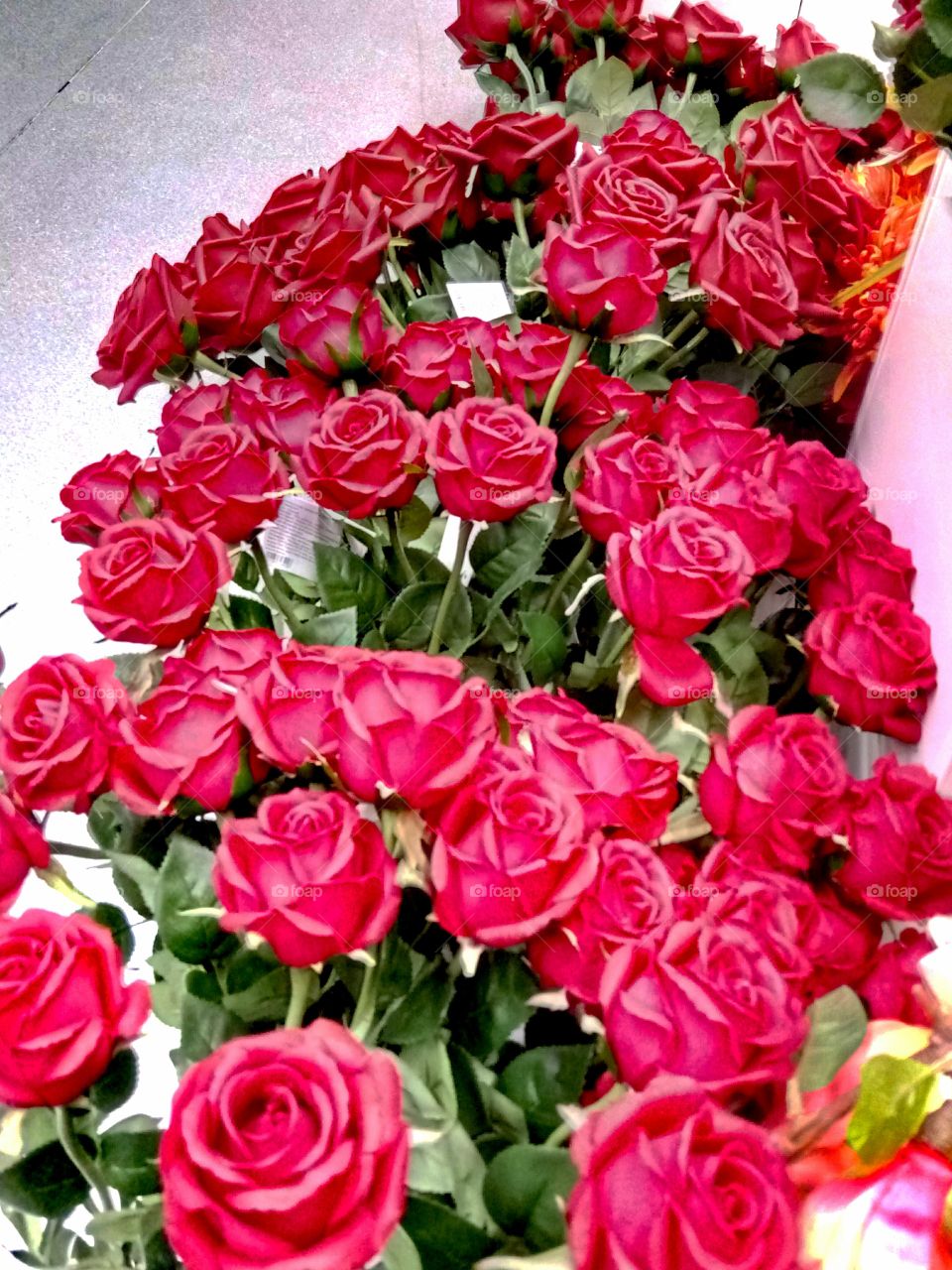 Rose, Bouquet, Floral, Petal, Flower