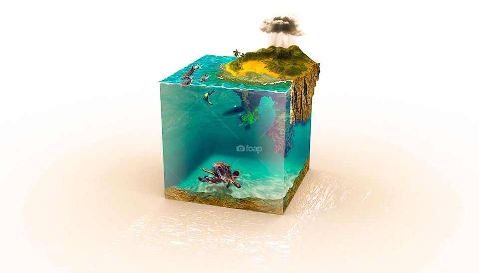 Prove di illustrazione grafica