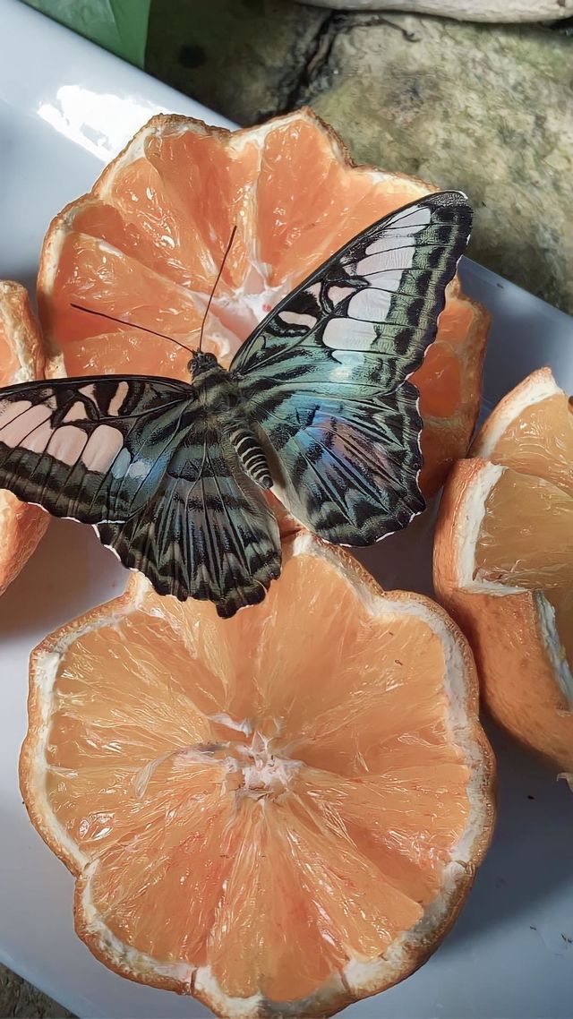 Enjoying a snack 