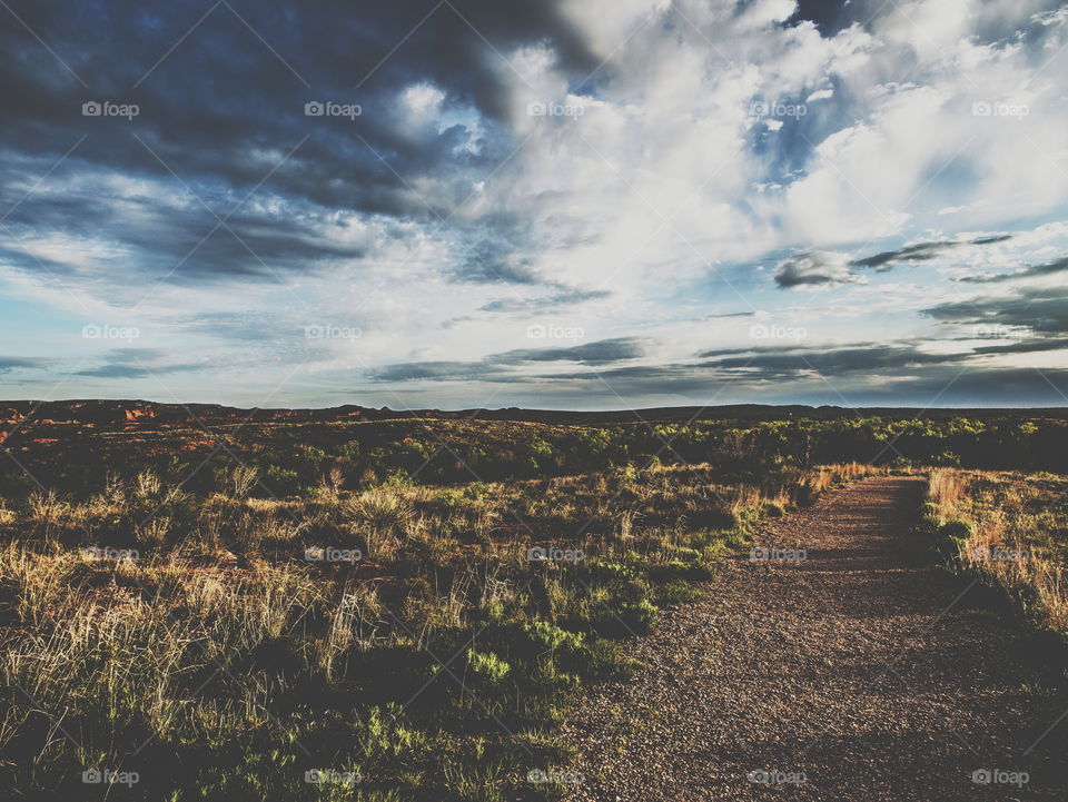 path. walking trail through Caprock Canyon in west Texas. 