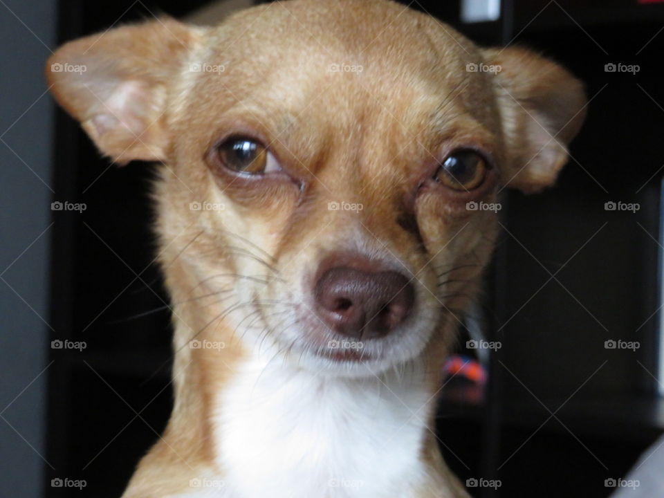 hmmmm ... was seh ich da ....