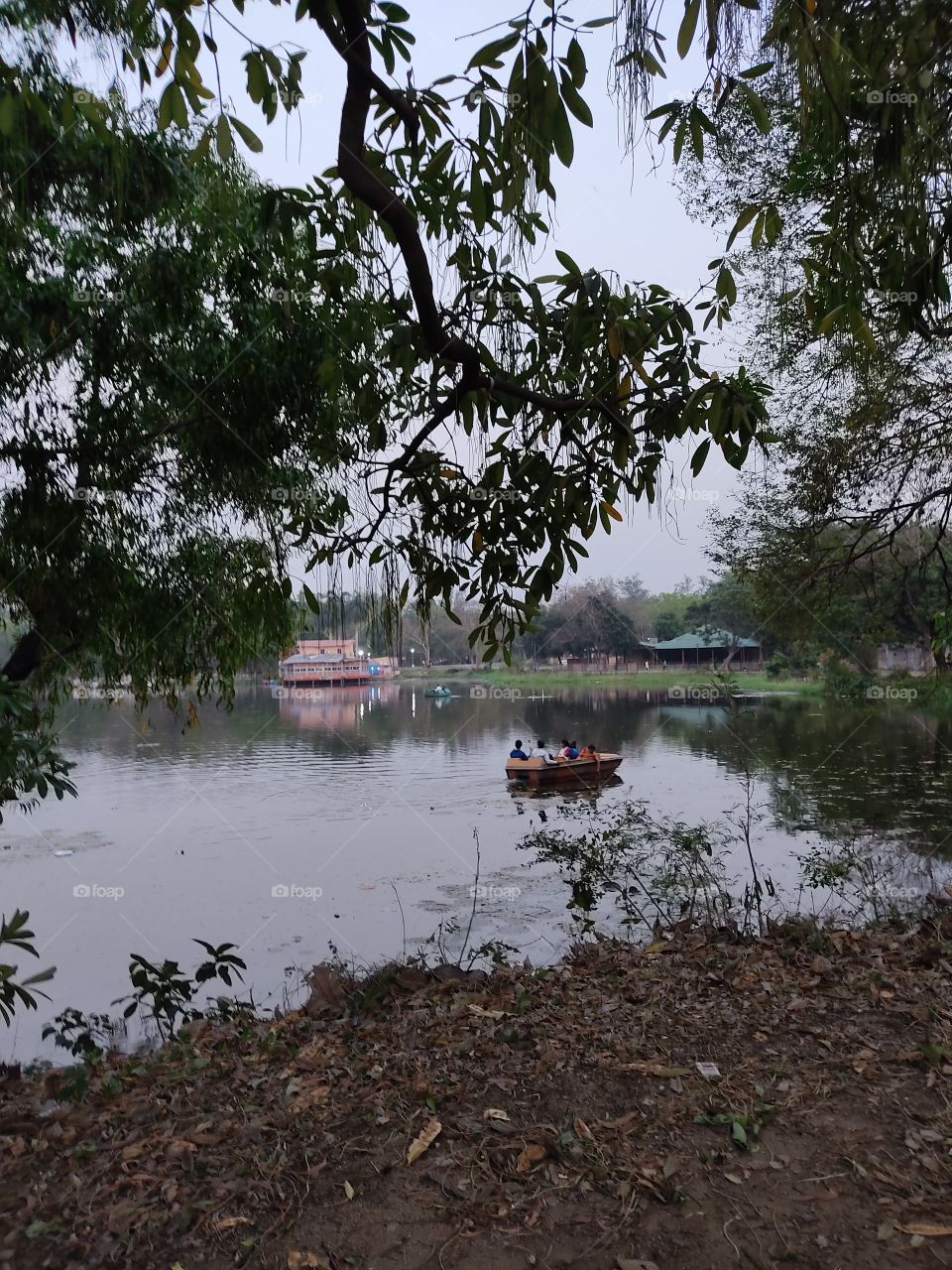 Beautiful View.🌳🌳🌊⛵