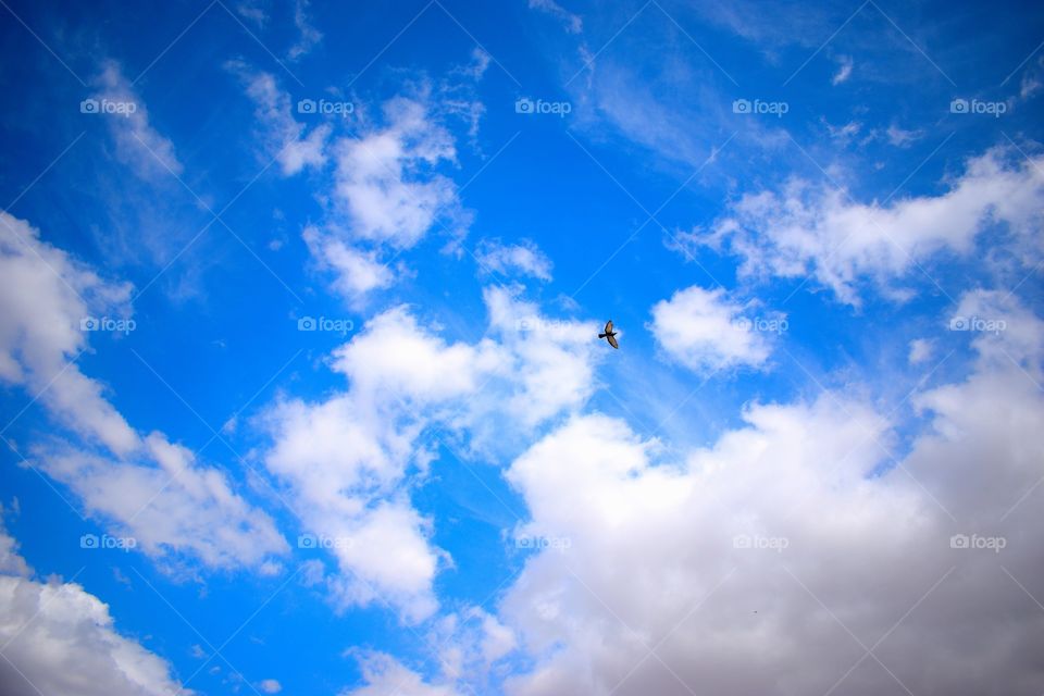 bule sky , cloudy sky