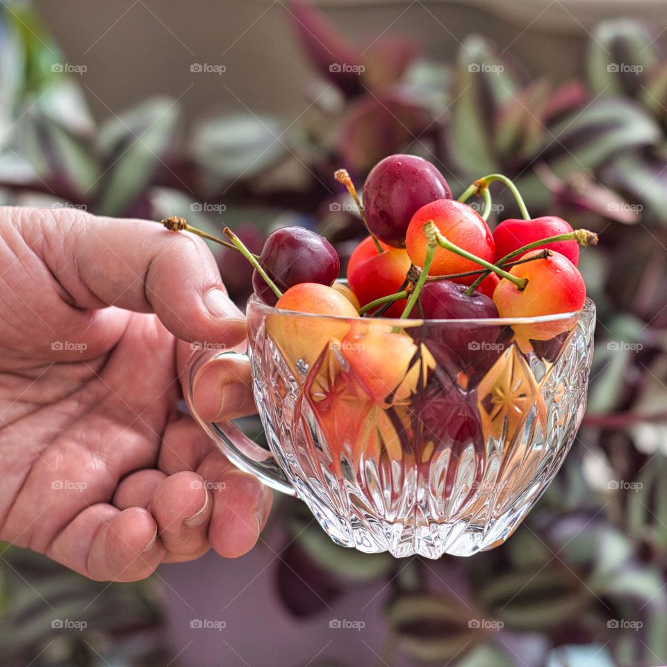 Hand with a crystal cup of red and white cherries.
