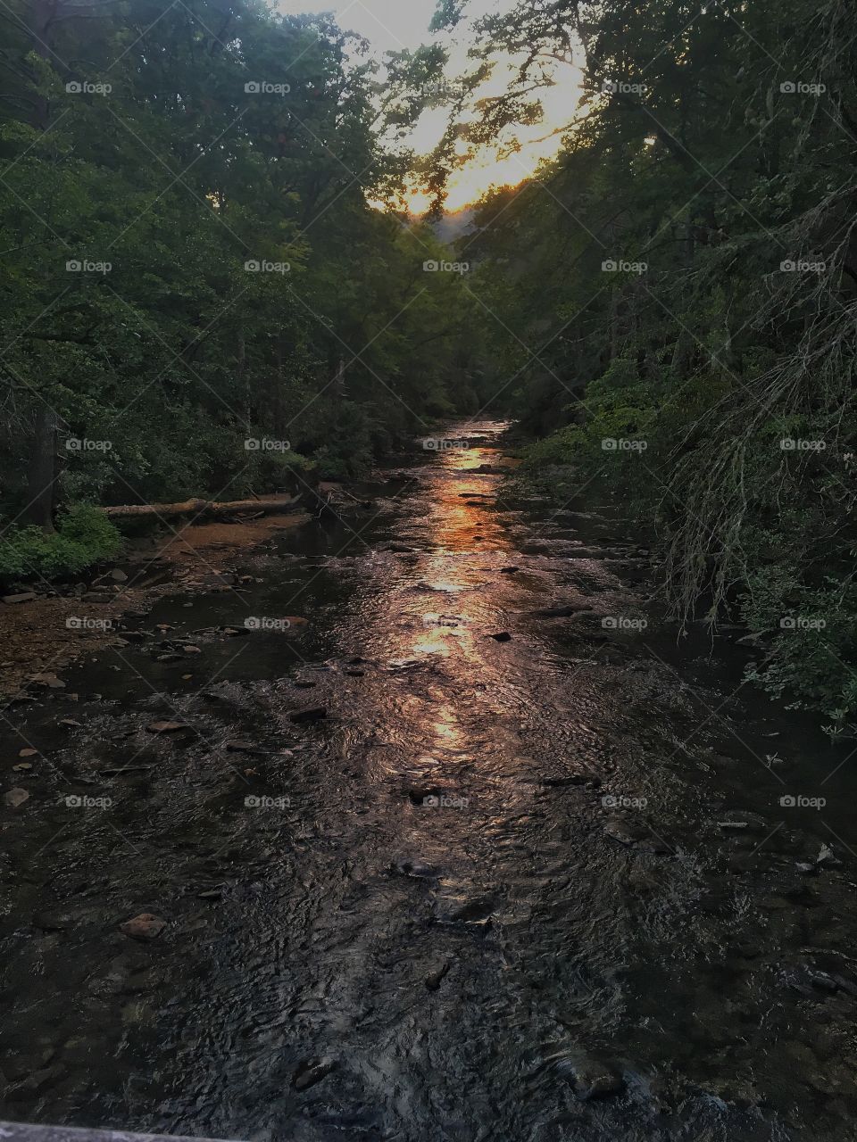 A river runs thru it