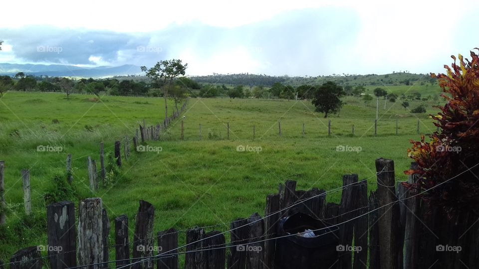 Fazenda