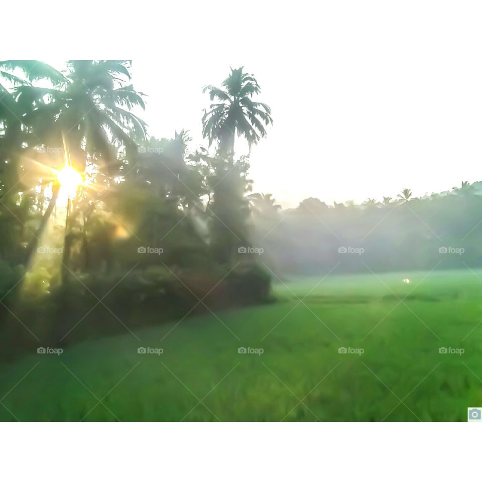 mist morning view from vazhalikavu temple