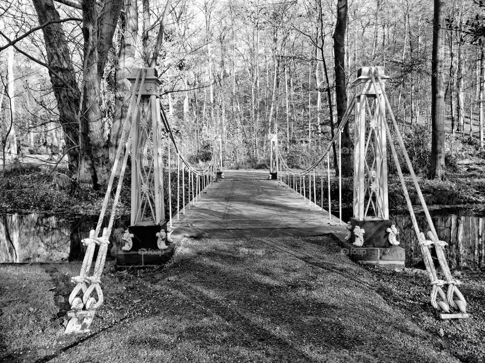 arnhem nature white black by vienesse