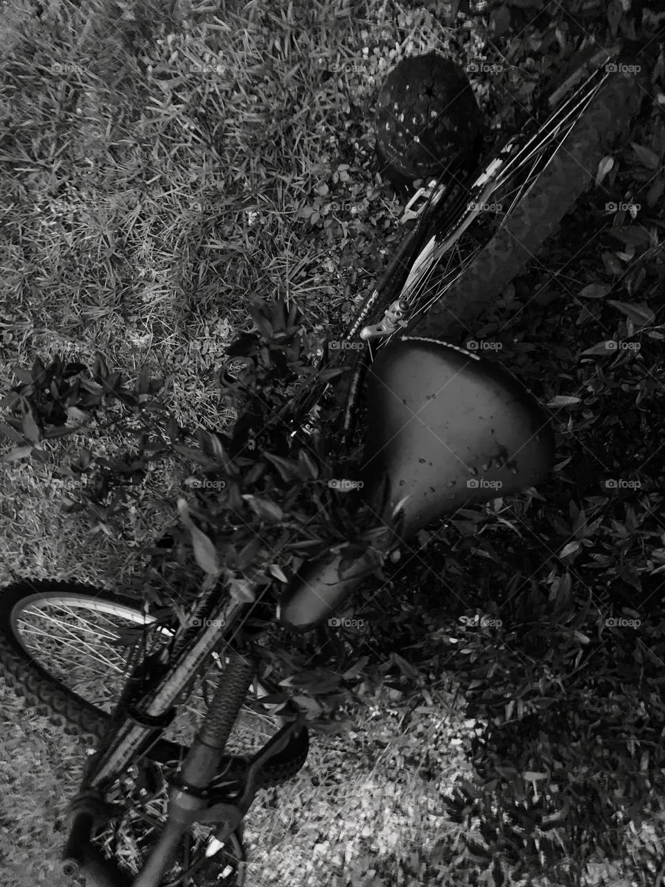 A Lonely Bicycle At Night Forgotten But Standing In The Midst Of Branches And Plants In The Grass High Angle.