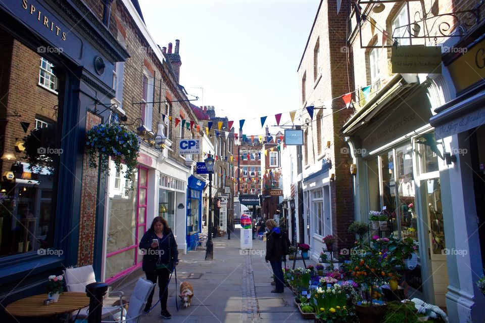 Beautiful Alley in London Richmond. with Corgi and Festoons