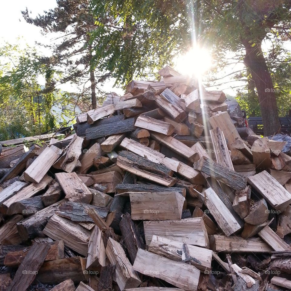 firewood