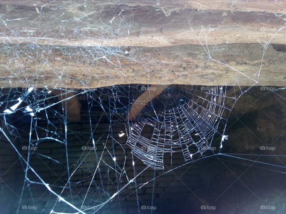 web