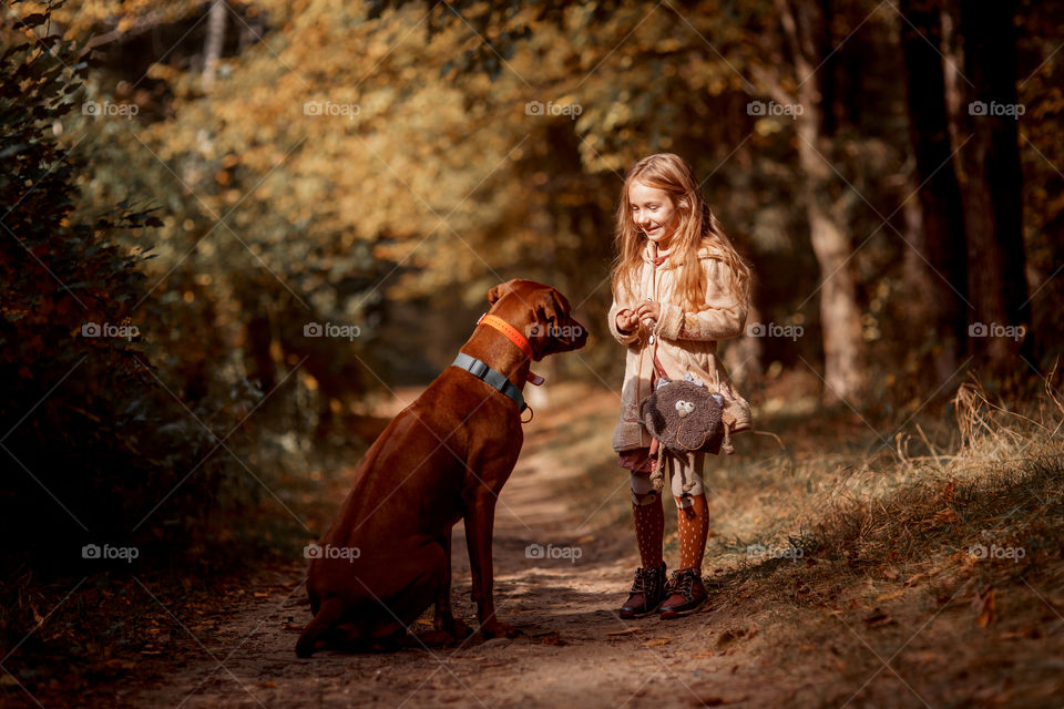 Little girl playing with dogs in an autumn park