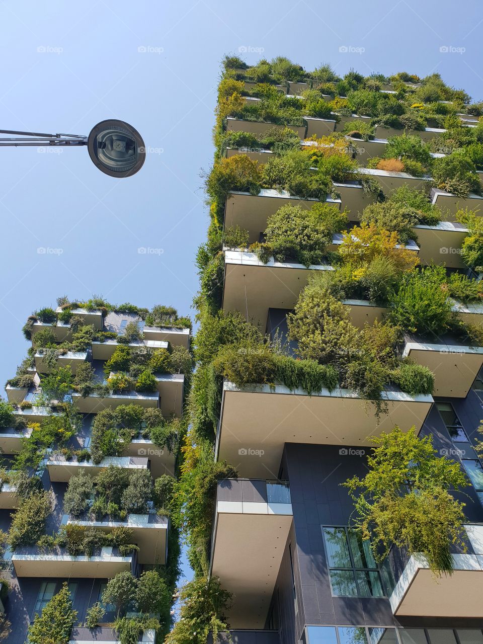 Vertical forest in Milan