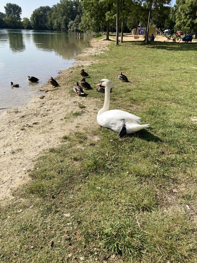 ☺️