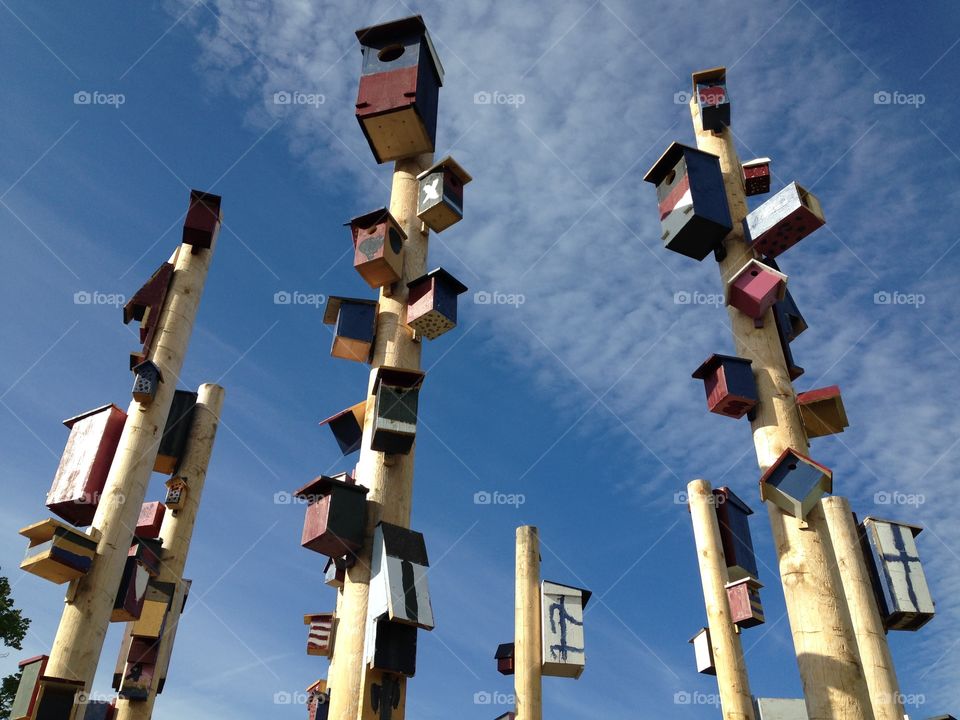Bird boxes. Many bird boxes on poles