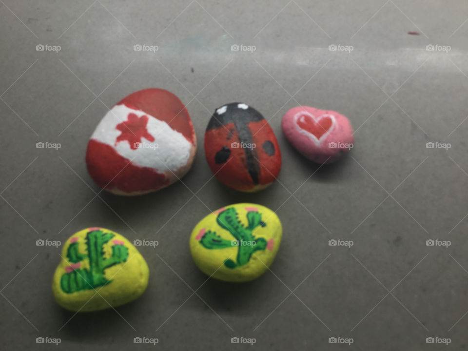 Stones that I painted with my mom with a Canadian Flag, cacti, a ladybug, and a heart.