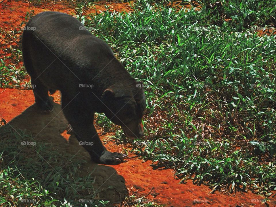 I'm not your teddy bear