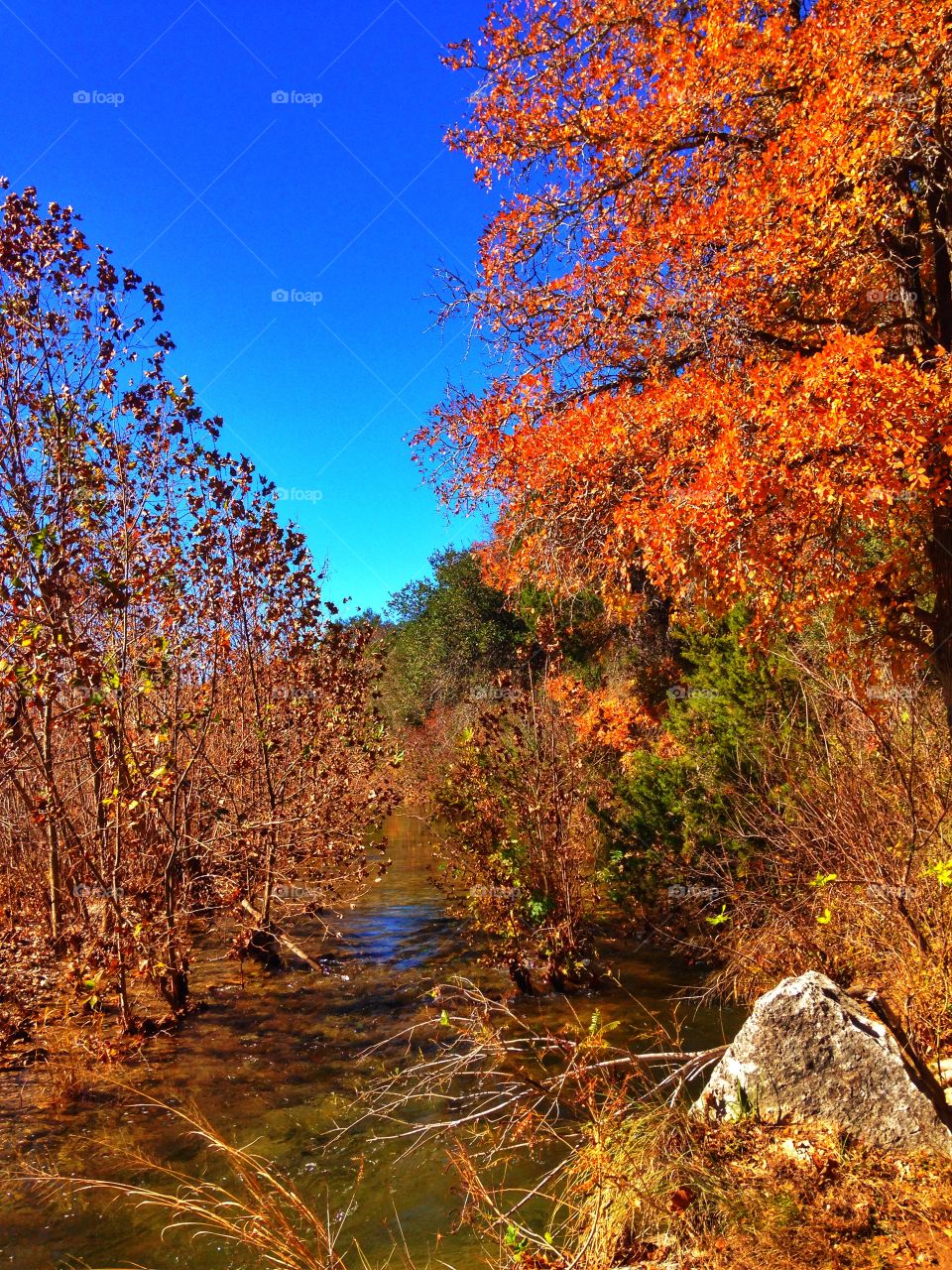Beautiful Texas Hill Country  Fall
