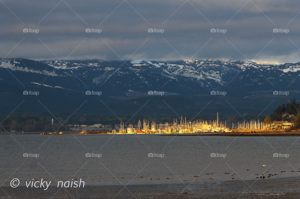 It was a mostly overcast morning but the sun still managed to blaze through the clouds to illuminate the marina with strong beams of golden light. The effect was mesmerizing  as it appeared the marina & it’s ships were gilded with real gold. 