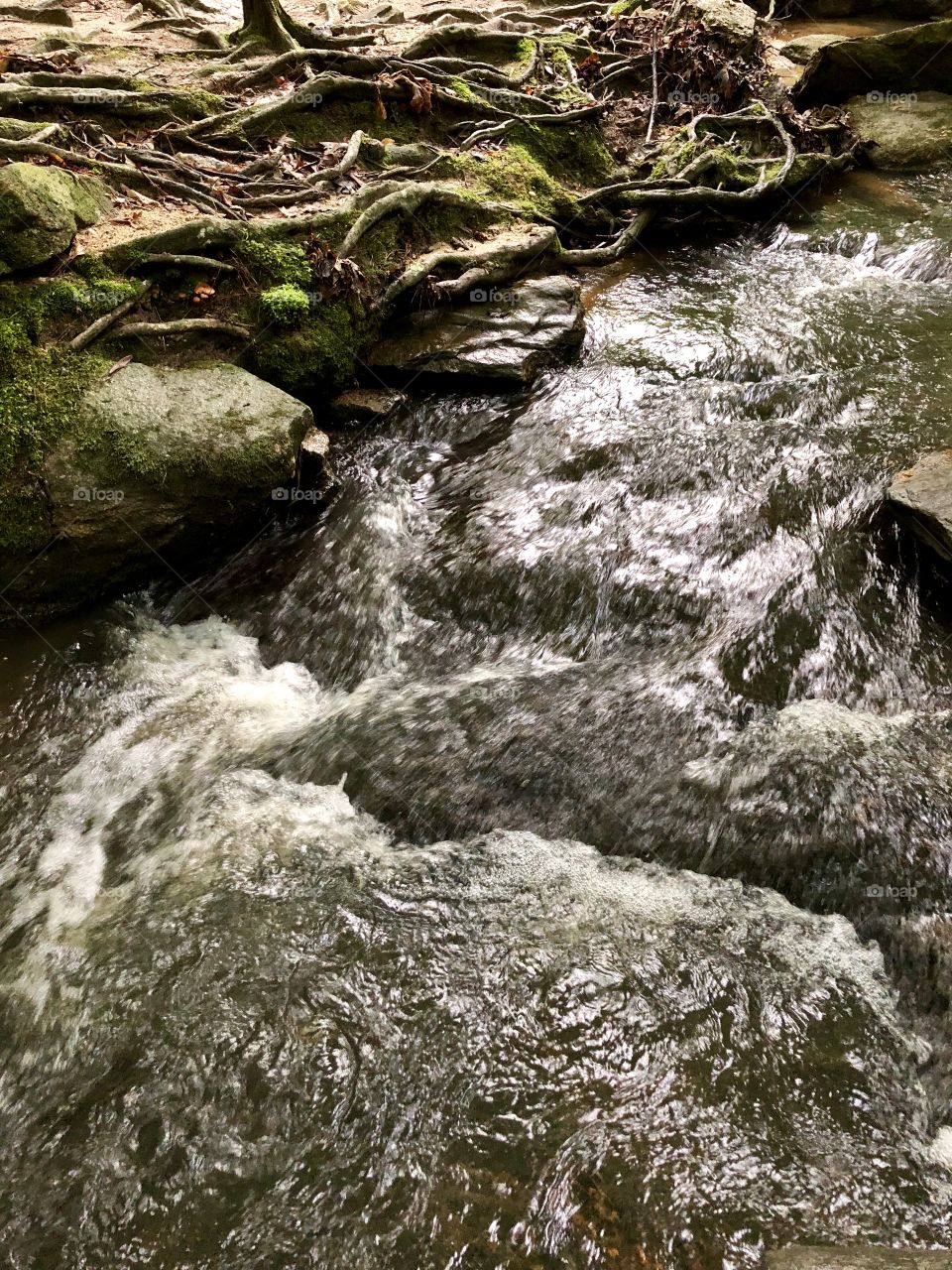 Stream flowing 