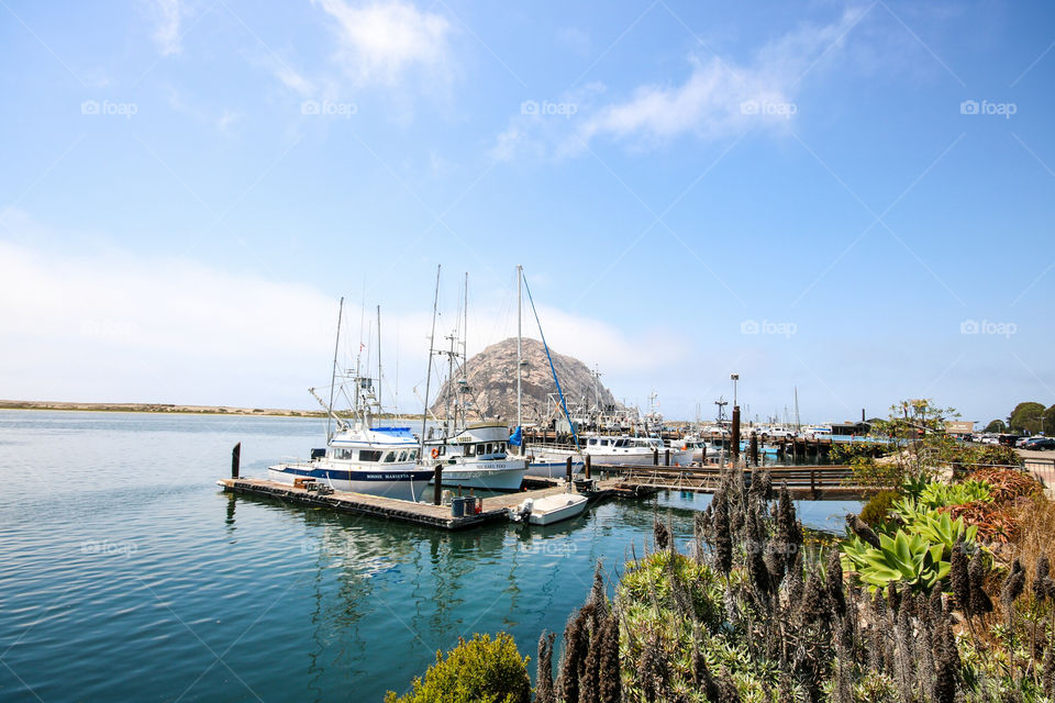 Morro Bay, CA