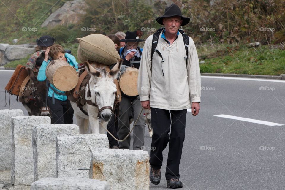 Mountain People Leading Mules On The Swiss Alps