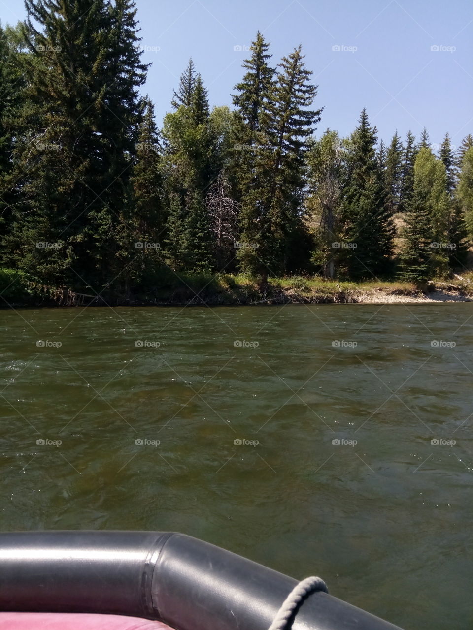 sneak River Idaho