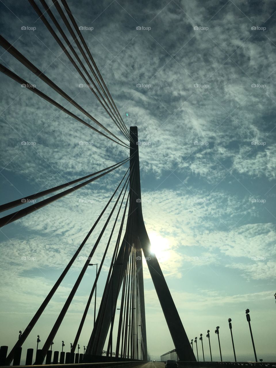 斜張橋（Cable-stayed Bridge）