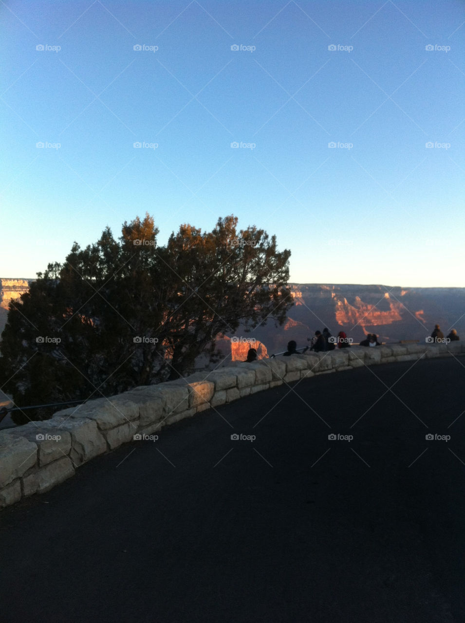 tree road sunrise grand by vancnggow