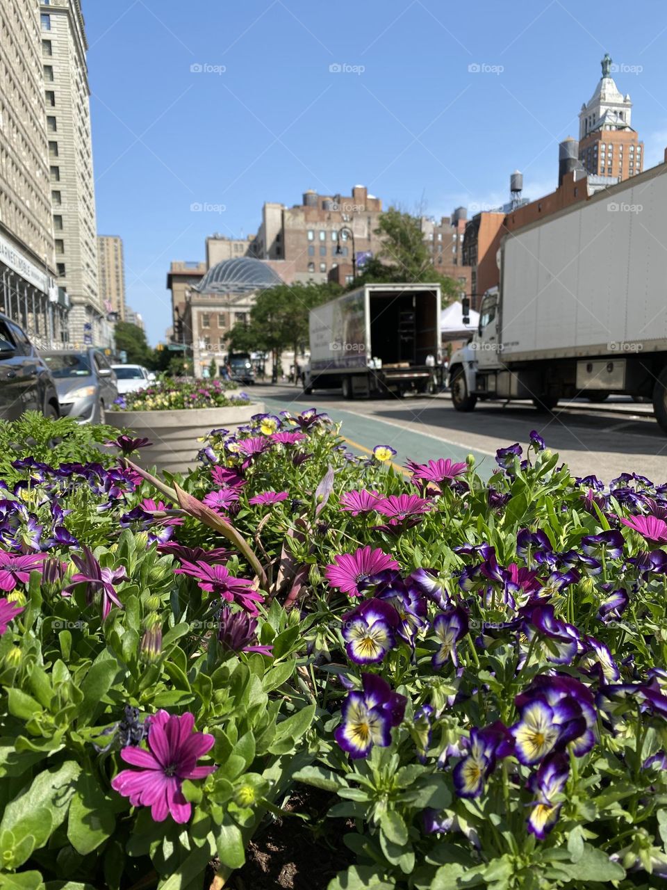 Variety of flowers on the street Manhattan New York.