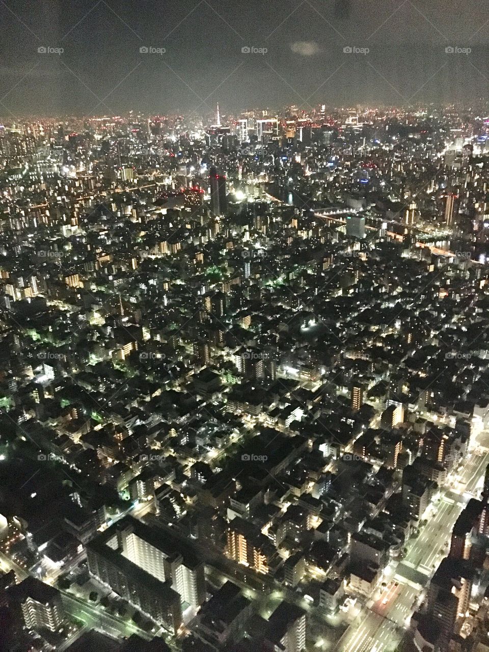 Tokyo - the concrete jungle