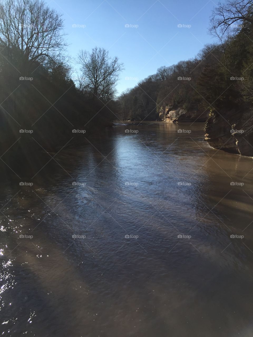 River at Turkey Run. 🦃