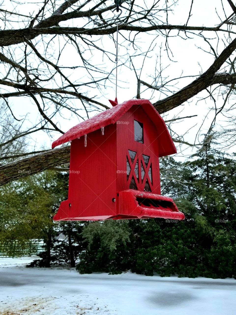 Frozen Red Barn Bird feeder with icicles on it