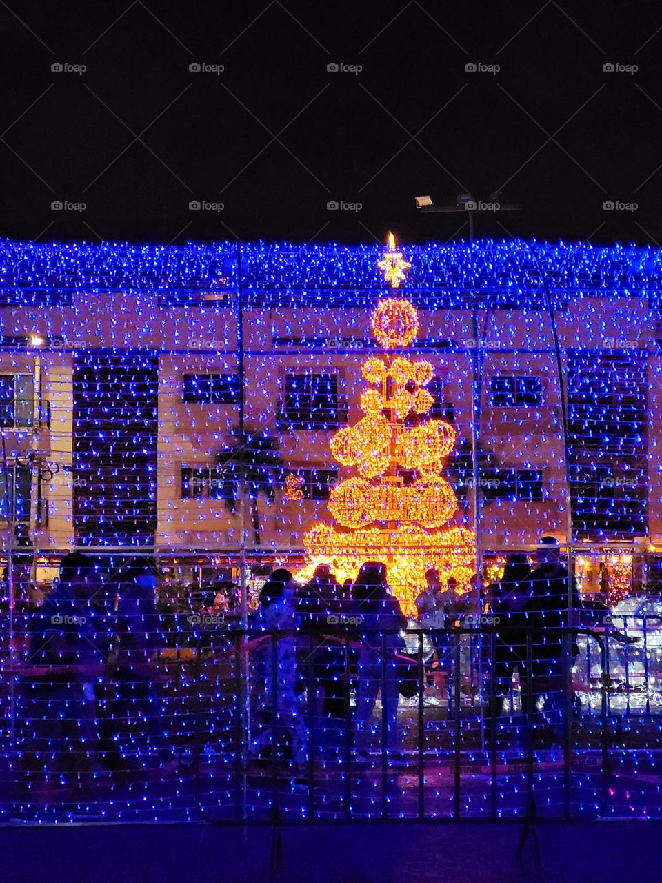 complementary colors