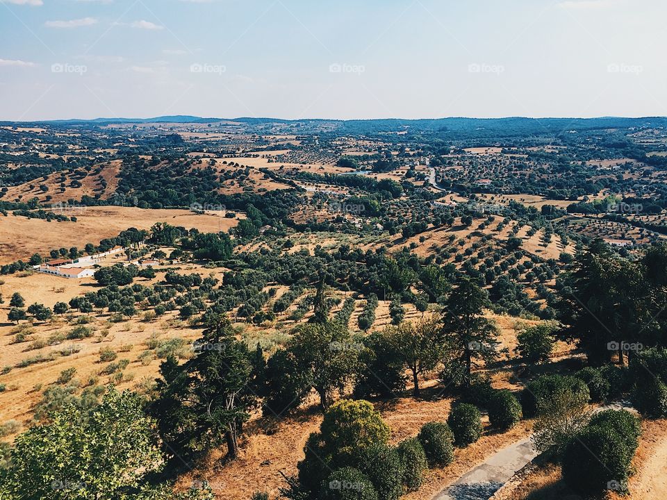 Famous valleys of cork trees in Portuguese region Alentejo 