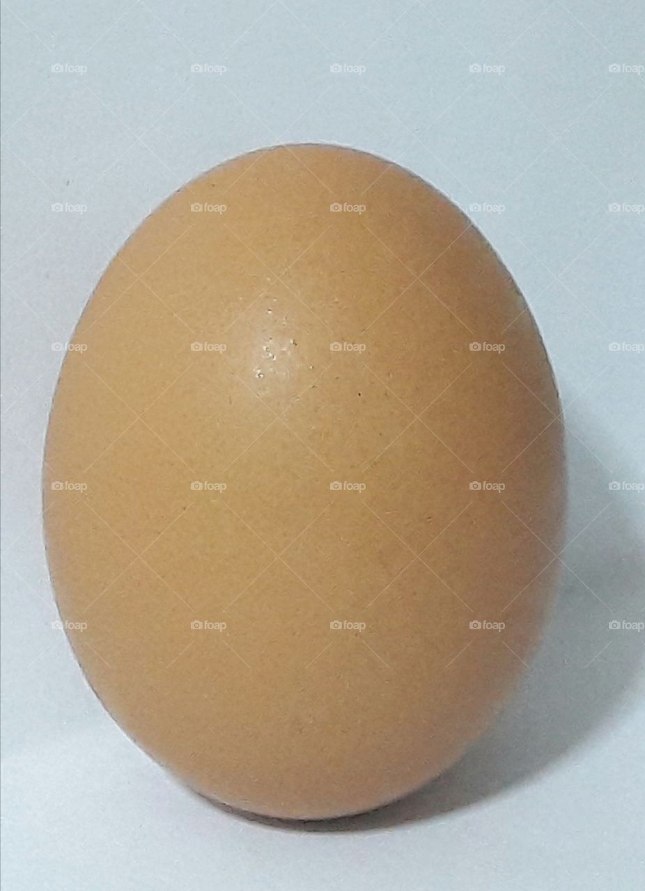 egg