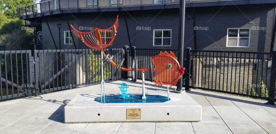Found this cool and funky fish while roaming the streets of Downtown Napa