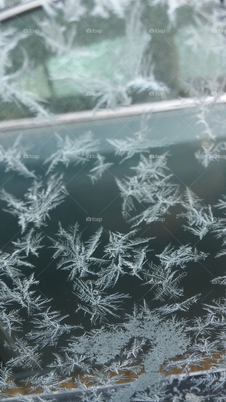 ice flakes