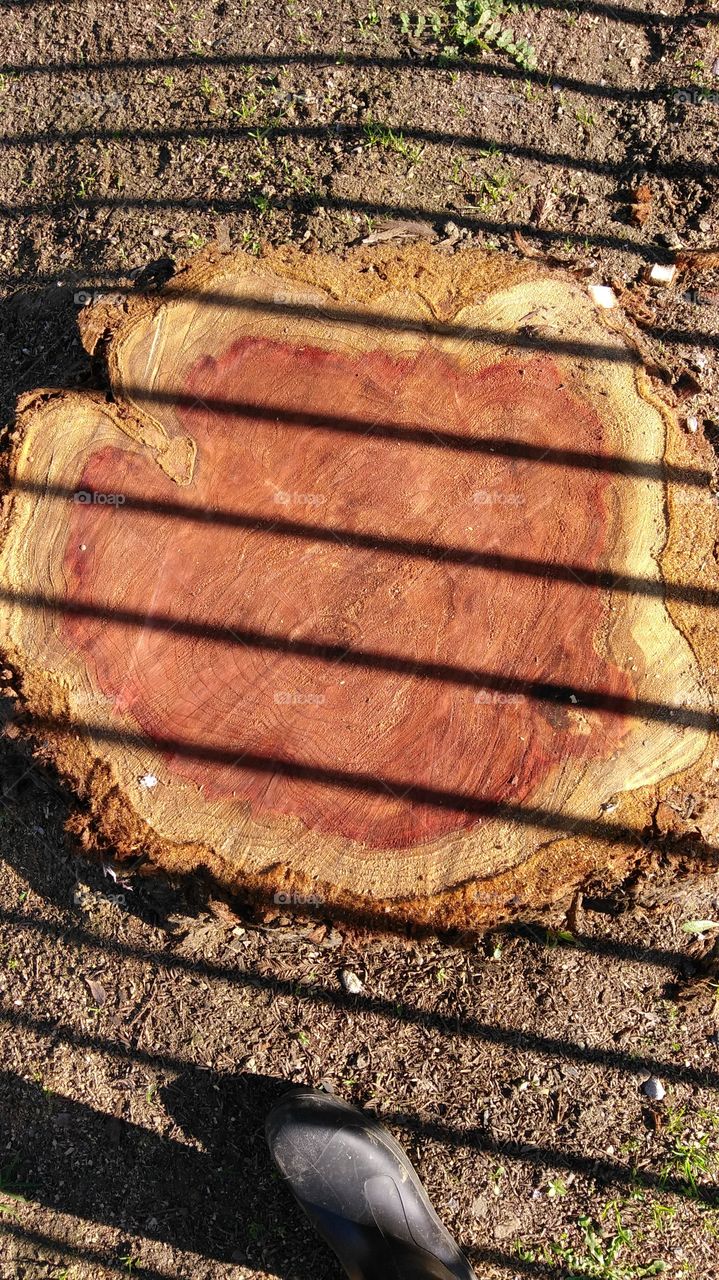 Texture, Desktop, Nature, Old, No Person