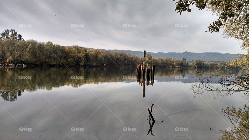 View of river in Columbia River