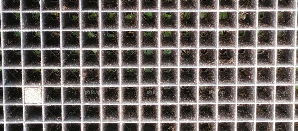 Squares - Geometric Shapes