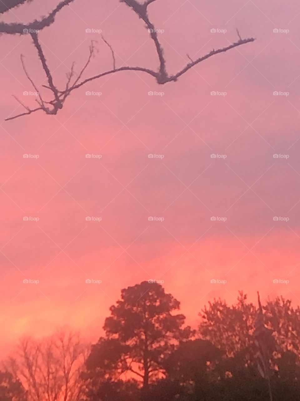 A beautiful spring sunset of orange  in Louisianna. 