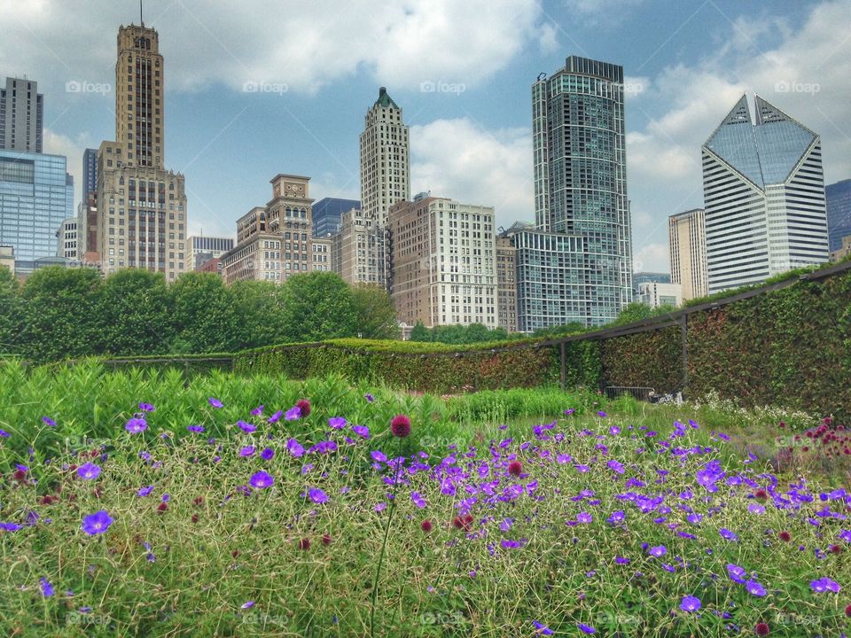 Chicago skyline . Downtown 