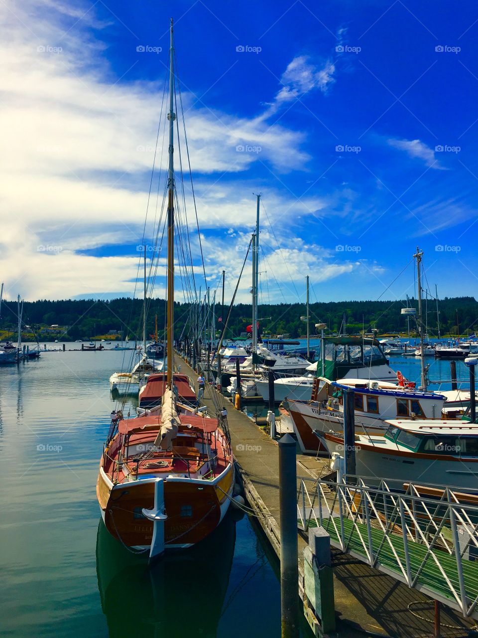 Sailboat & Marina