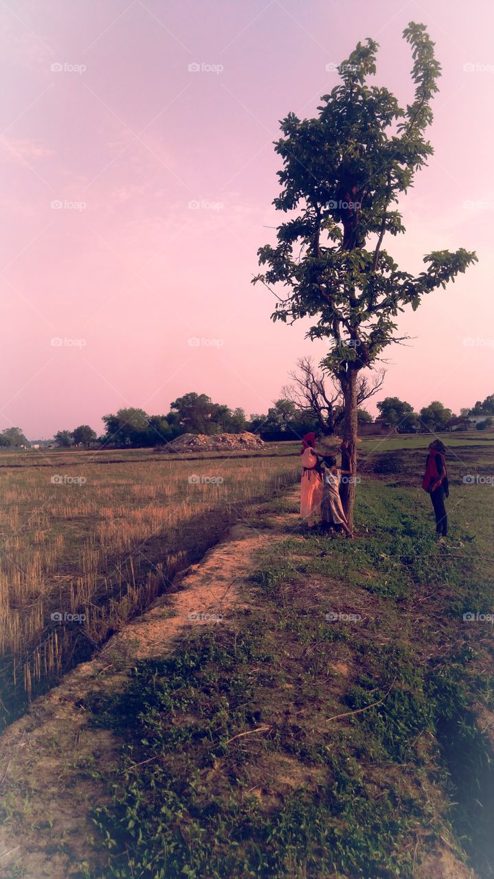 Rural Area UP India Sonbhadra